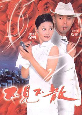 不见/不散