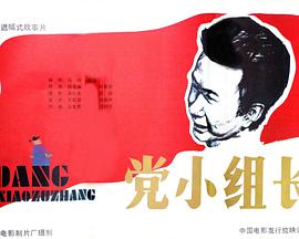 党小(组长