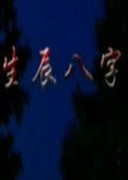 生辰八,字2009
