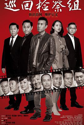 巡回检,察组