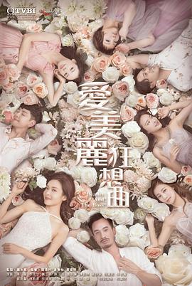 已完结