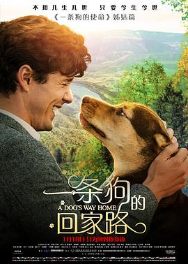 一条狗%的回家路