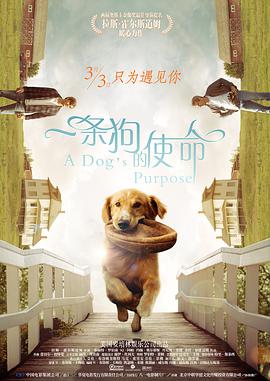一条狗[%的使命