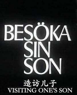 造访\=儿子