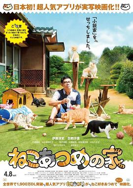 猫咪后院之家
