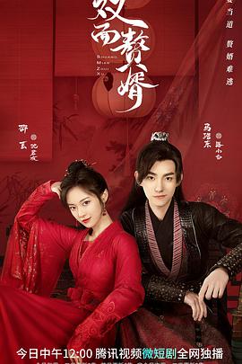 双面 赘婿