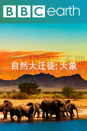 自然大迁徙