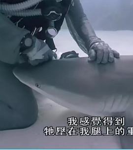 重访蓝色-.星球