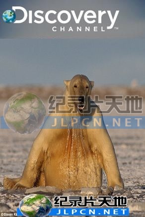 动物绝技大公开