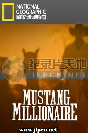 百万/驯马大赛