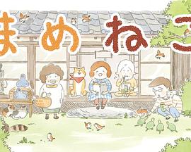 豆豆猫