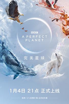 完美 星球
