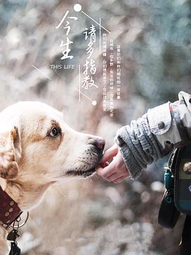 今生请-多指教第三季