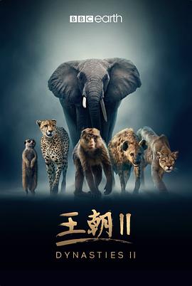 王朝第 `#]二季