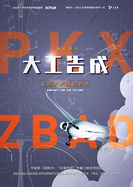 大工告成——北京大+^兴国际=)[机场
