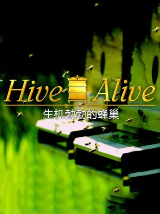生机 -勃勃的蜂巢
