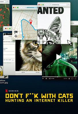别惹猫咪= ：追捕虐猫者