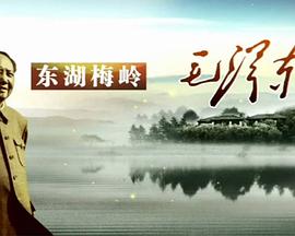 东湖 梅岭毛泽东