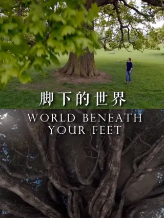 脚下:的世界