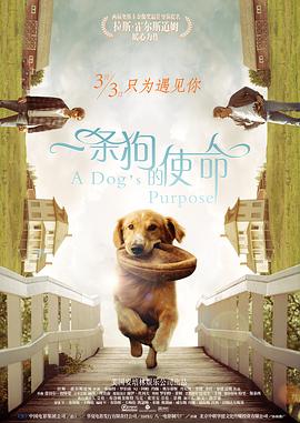 一条狗的使命 [贤`]哥解说]