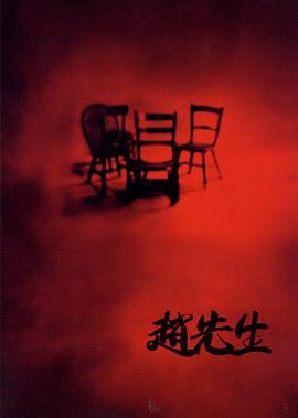 赵先生[电影)*解说]