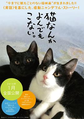 为什么],猫都叫不来