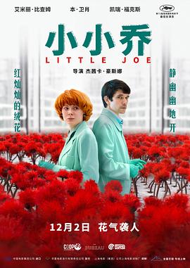 小小乔(=/[[电影解说]