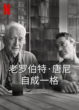 罗伯特  **·唐尼：自成一格