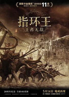 指环王3 *]：王;(者无敌[电影解说]