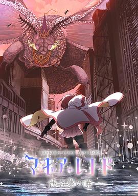 魔法纪 ` #*录：魔法少女小圆?外传最终季