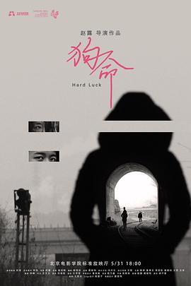 狗命[电影=+解说]
