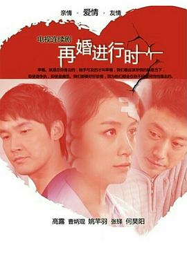 再婚进行时