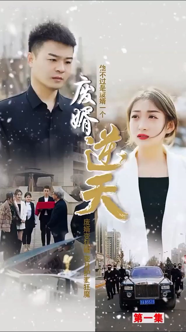废婿 逆天合集版