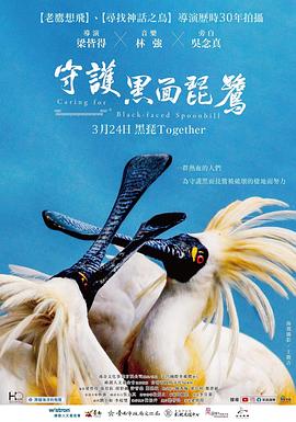 守护黑面`%琵鹭