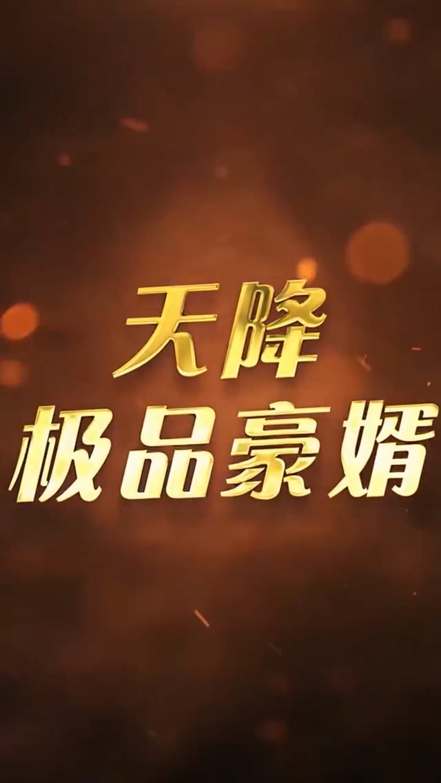 天降极=品豪婿