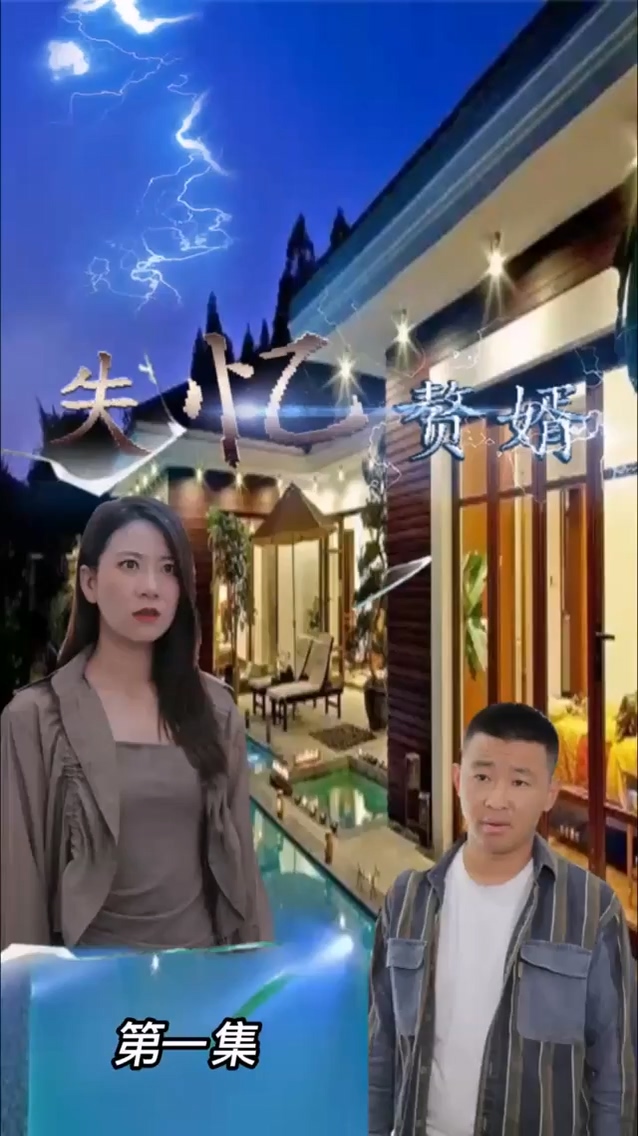失忆.赘婿