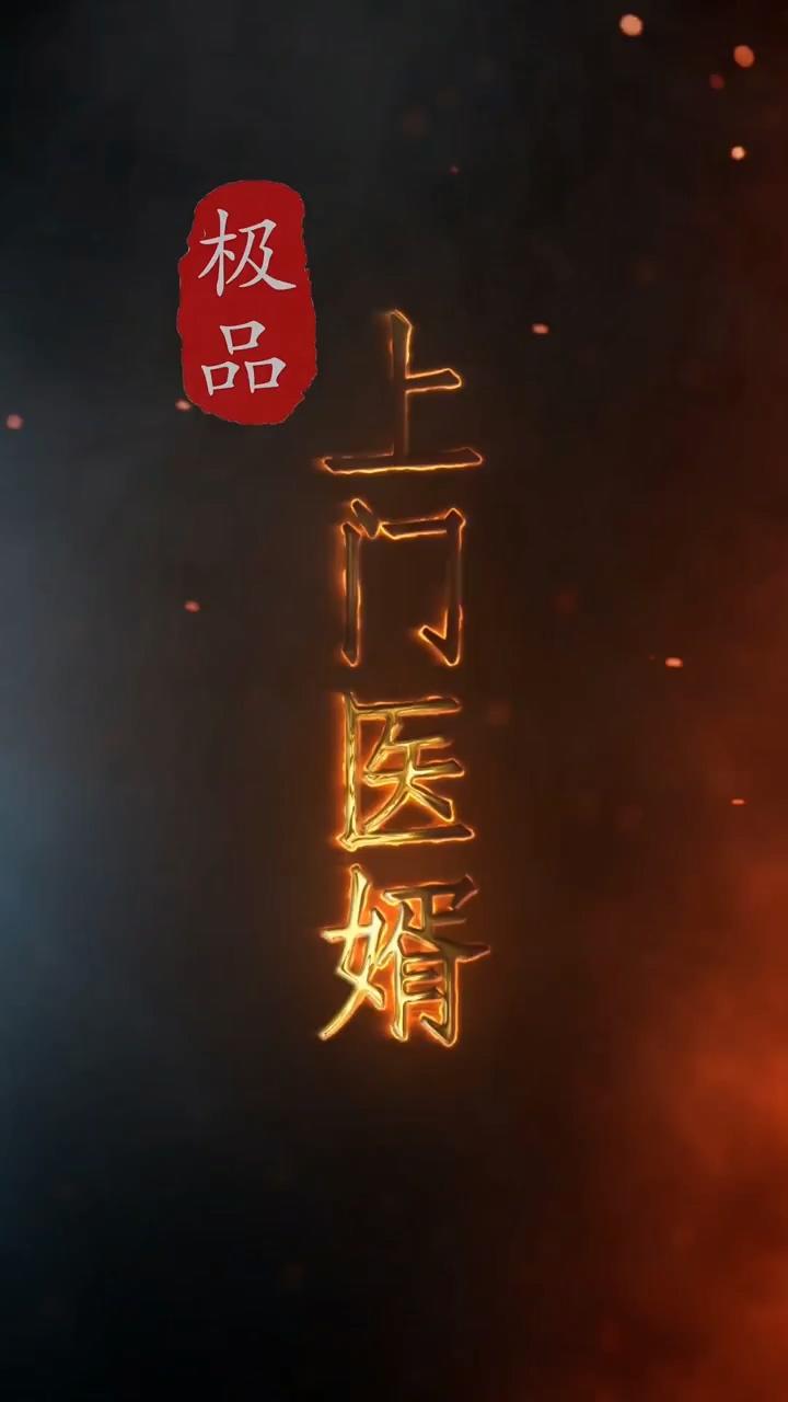 极品%上门医婿