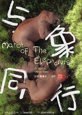 与象]同行