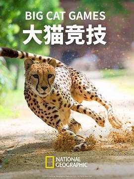 大猫_+?竞技