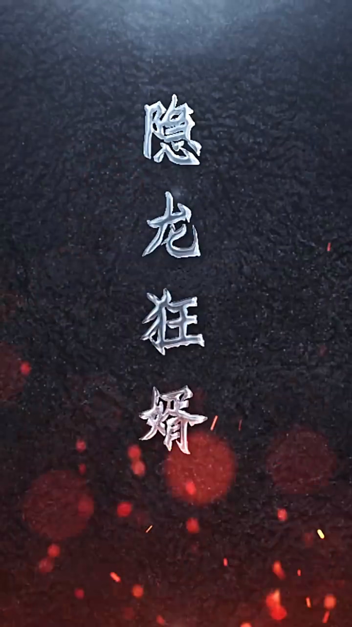 隐龙 狂婿