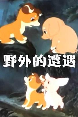 野外的遭遇[电 ?.+影解说]