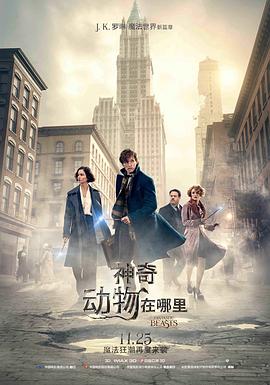 神奇动物在哪里[电影解+,说]