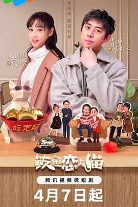 鲅鱼爱上猫