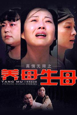 真情无限之%养母-生母[电影解说]