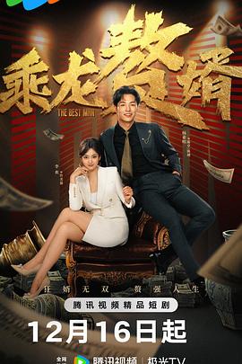 乘龙+赘婿