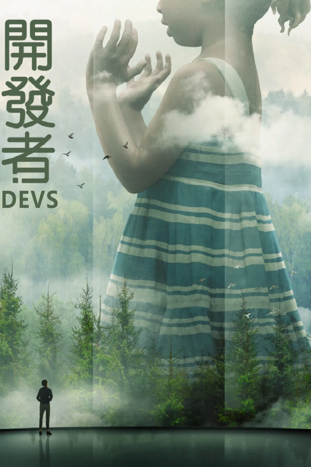 开发)者