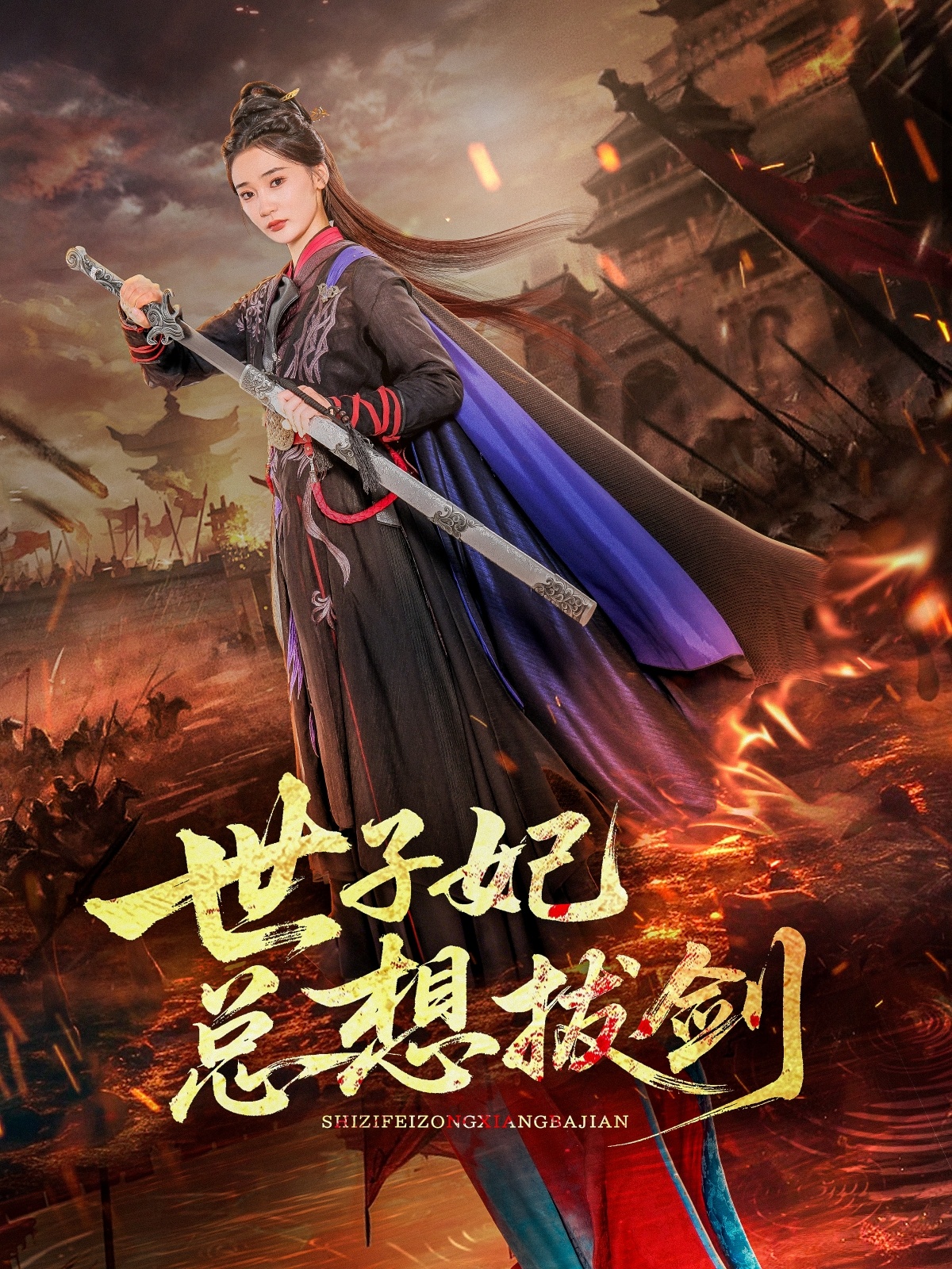 世子妃;总想拔剑