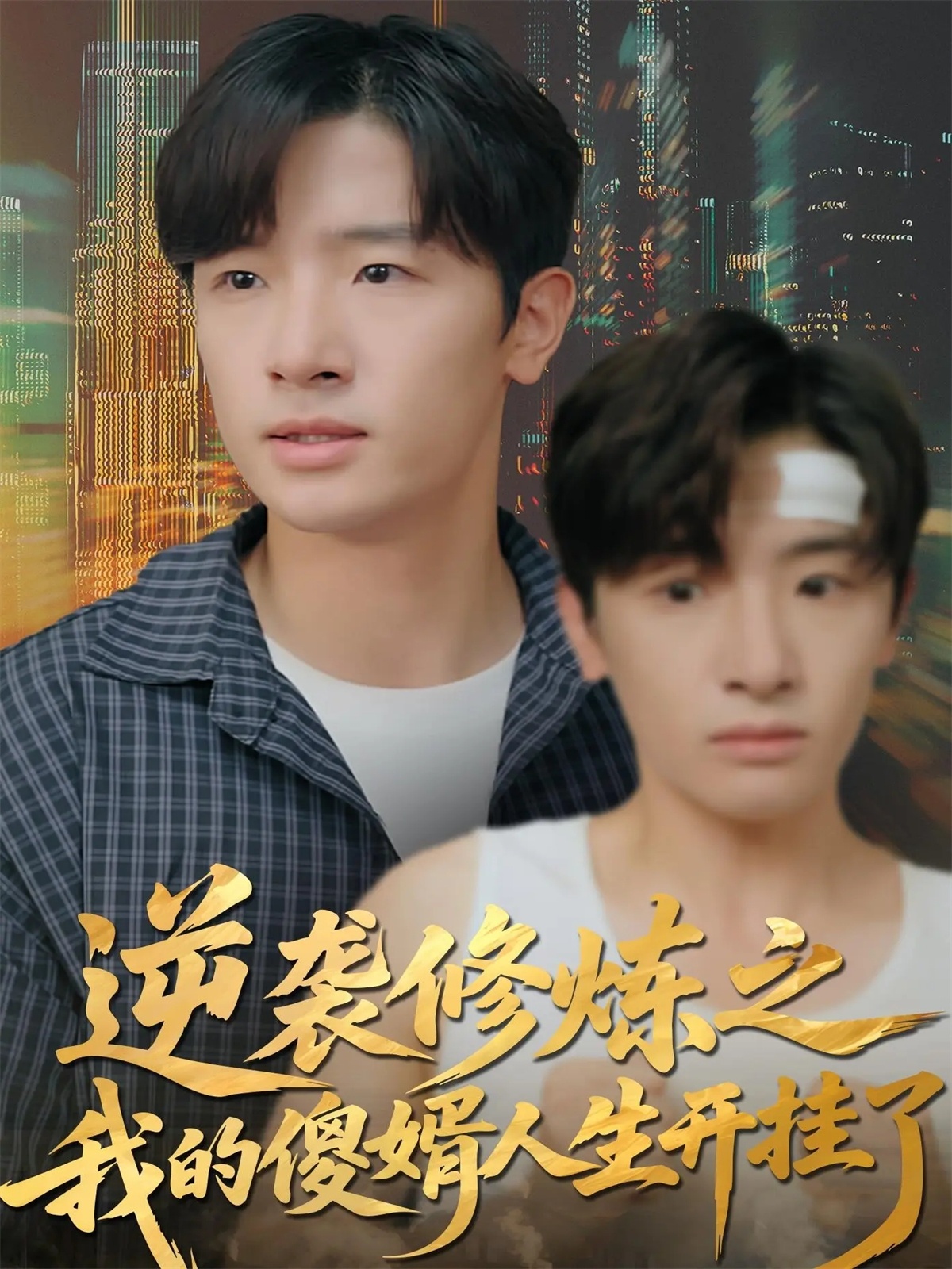 逆袭修炼=. 之我的傻婿人生开]挂了