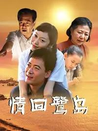 情回$鹭岛
