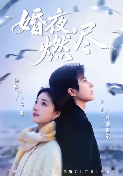 婚夜燃尽